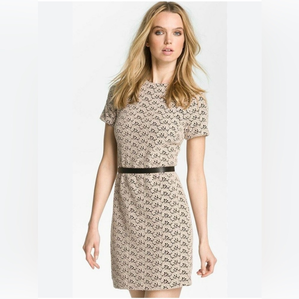 NEW Diane VonFurstenberg Acorn Lace dress, Women’s 6